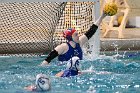 WWPolo @ CC  Wheaton College Women’s Water Polo at Connecticut College. - Photo By: KEITH NORDSTROM : Wheaton, water polo